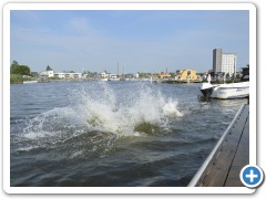 _DSC0054